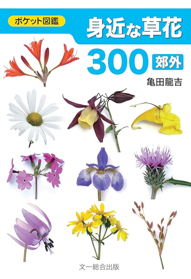 身近な草花〈街中〉 (ポケット図鑑) | 亀田 龍吉 |本 | 通販 | Amazon